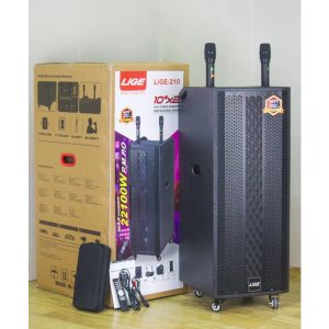 დინამიკი AILIANG LIGE-210