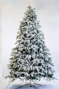 ნაძვის ხე 604 - 240სმ