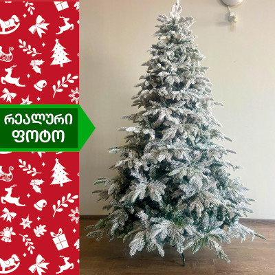 ნაძვის ხე სტოკჰოლმი 210სმ (GS-210)