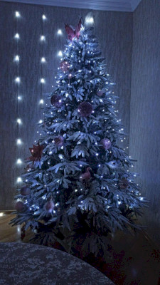 ნაძვის ხე 604 - 180სმ